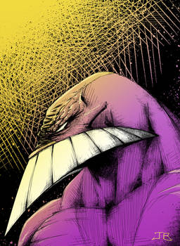 The Maxx