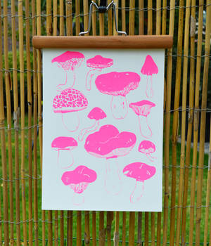 Pink mushroom serigraphie