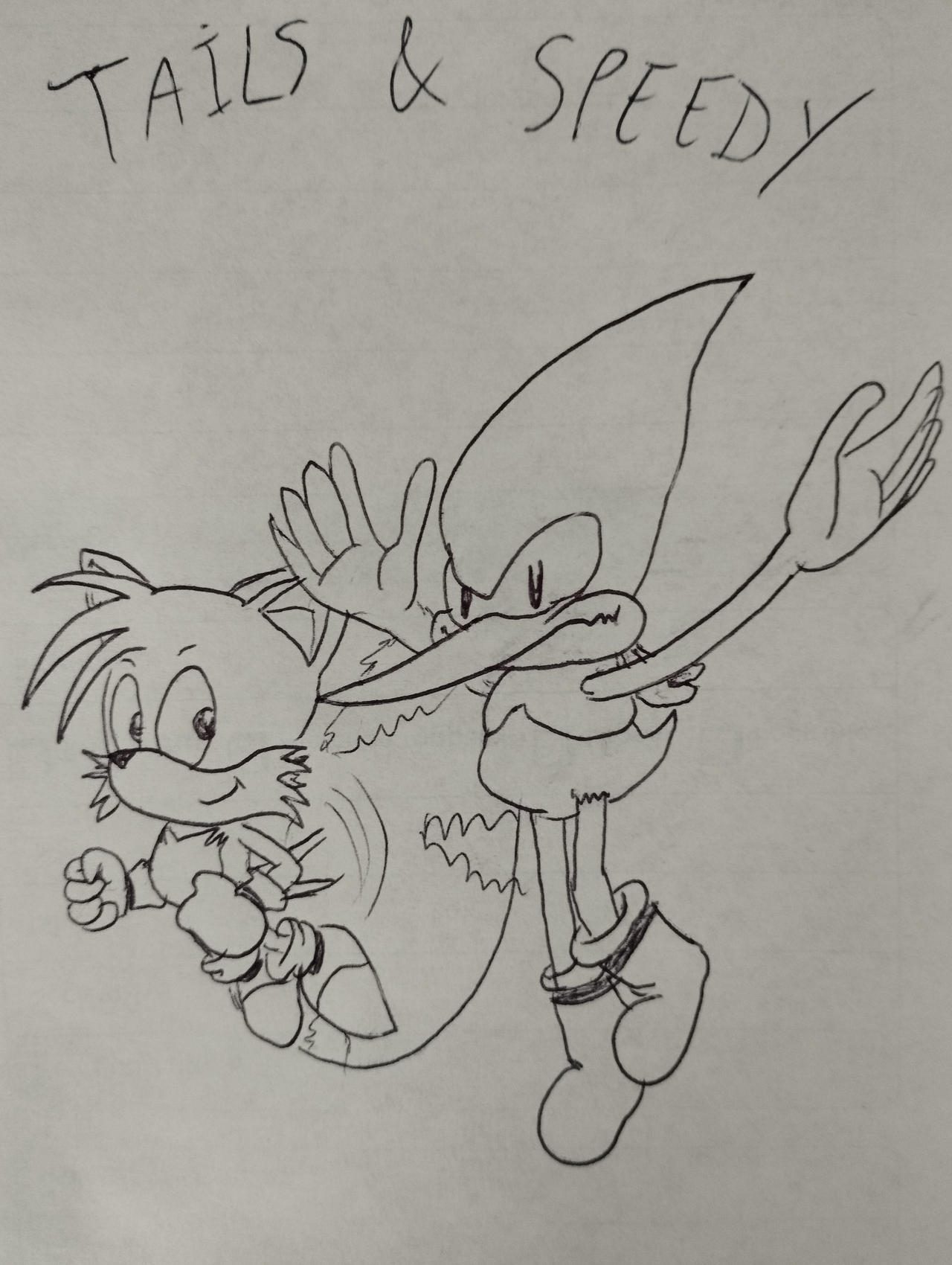 Tails Rival Tails and his rival Speedy by ApathicTheHedgehog on DeviantArt