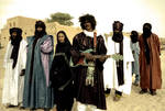 Tinariwen by Narayanan