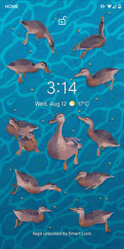 Free Duckie Lock Screen (link in description)