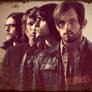 Kings of Leon Wallpaper