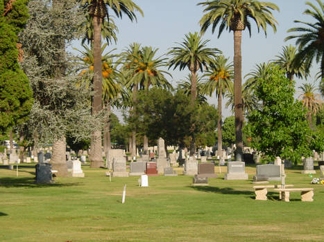 Cemetery 4