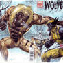 Wolverine vs Sabretooth
