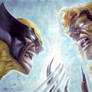 Wolverine vs Sabretooth 2