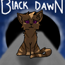 Black Dawn Anniversary