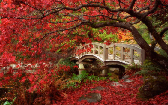 Japanese Garden, Royal Roads