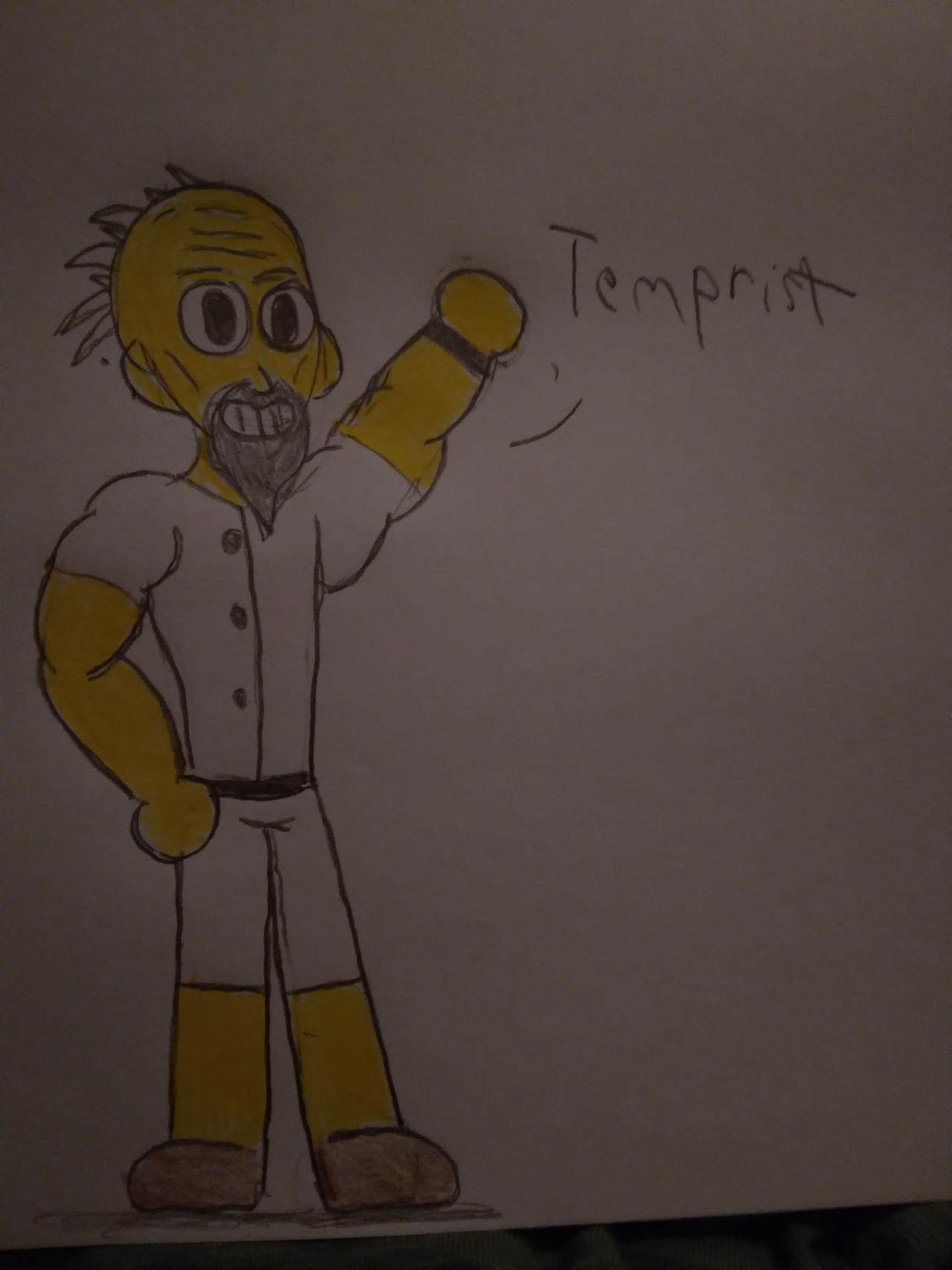 Temprist by ReInkCody on DeviantArt