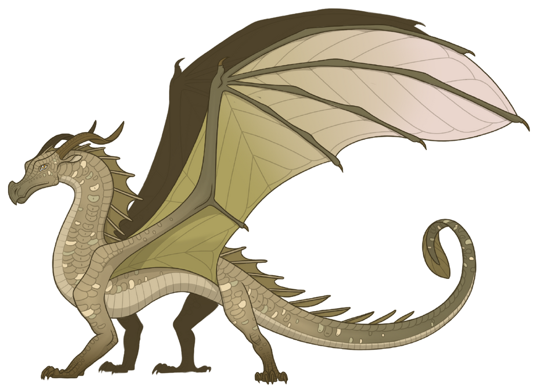 Splinter by ASmartCorgi on DeviantArt