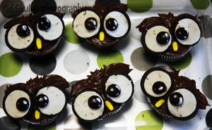 Owl Cake