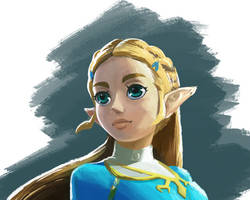 Breath of the Wild - Princess Zelda