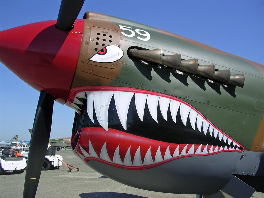 P-40 2008 Airshow