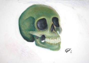 Skull