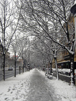 Snowy Budapest