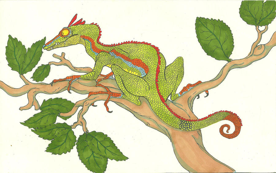 Lesser Tree Dragon