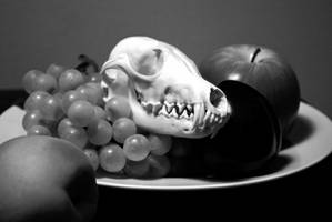 Still life with Skull