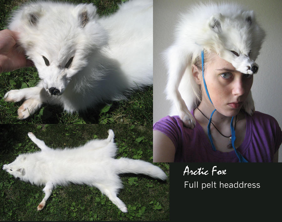 Arctic Fox head dress