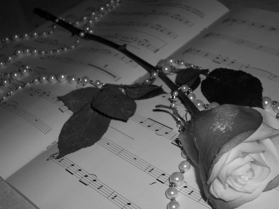Roses + Pearls 8