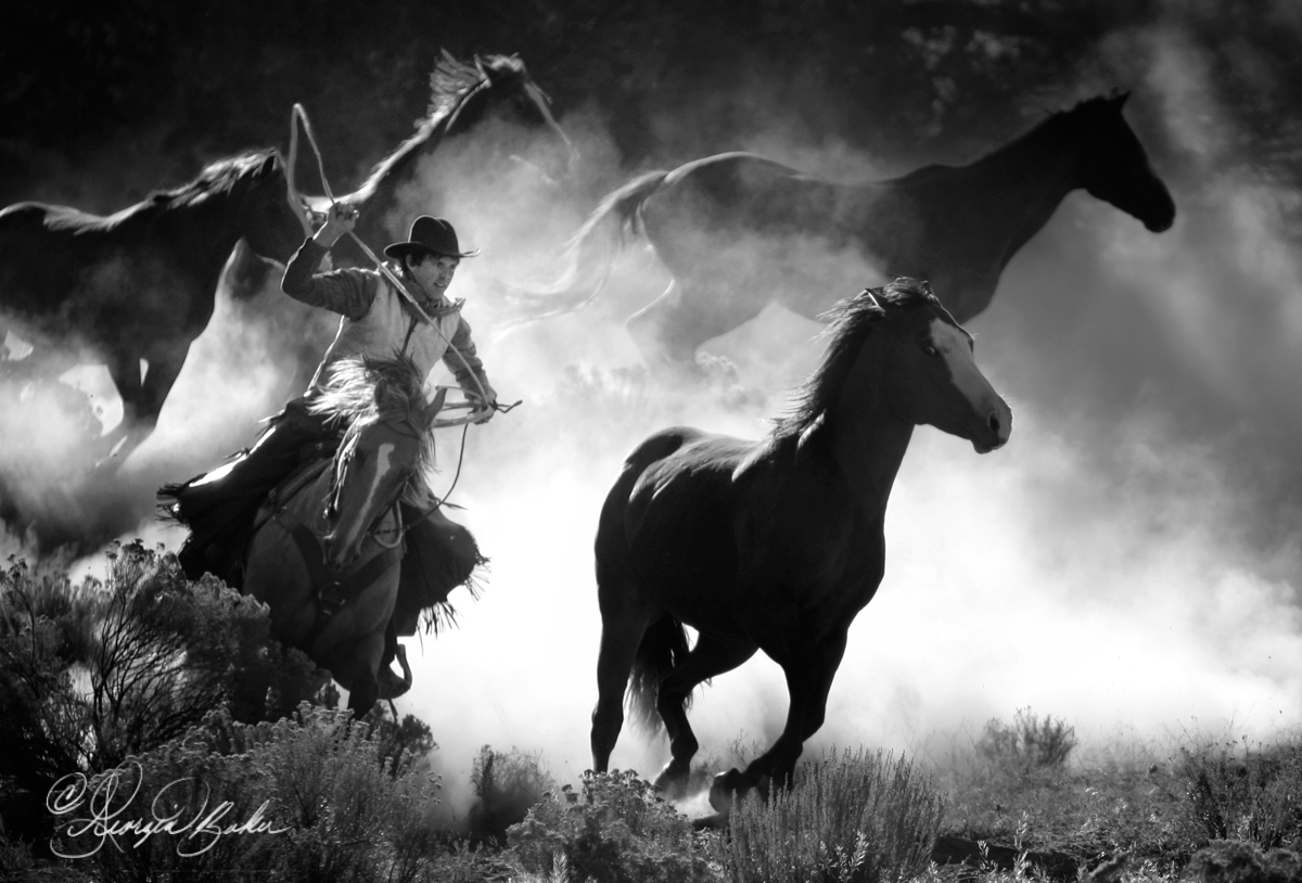 Horses Rounded Up Horse-round-up by photocrafter on DeviantArt