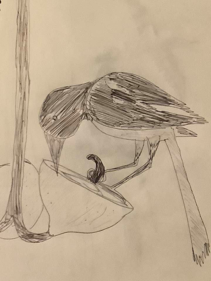 Inktober 11: Sour