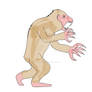 Speculative Apes of April: Strength