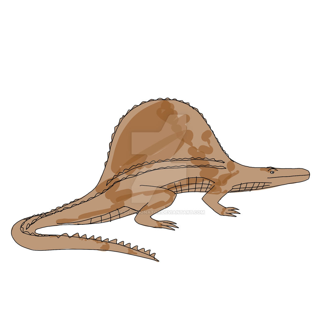 Dune June 3: Sunbathing