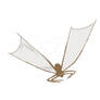 Dune June 21: Sail