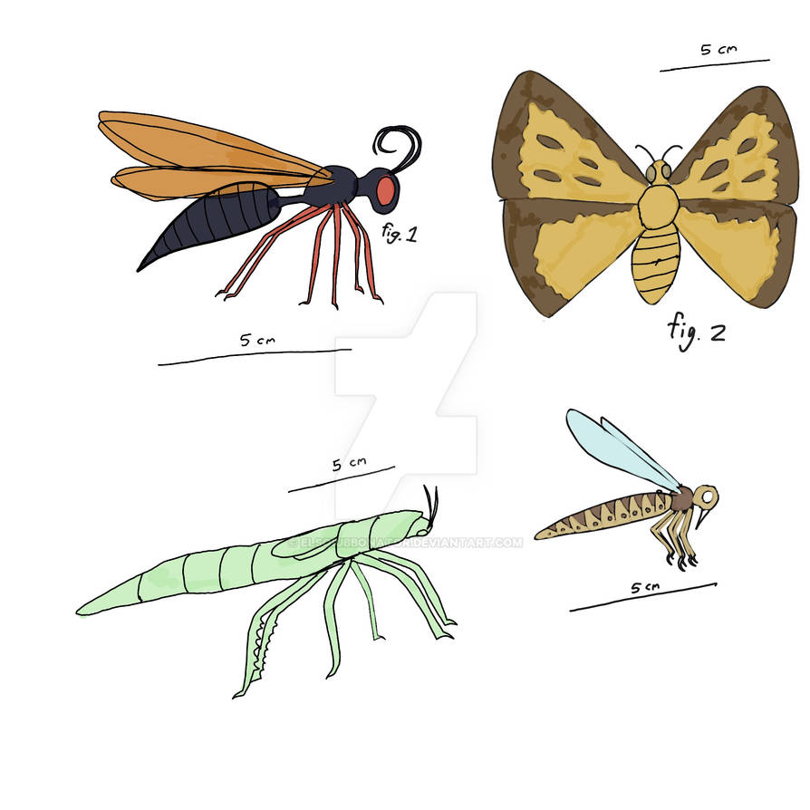 Populating Mu: Assorted Insects by ElSqiubbonator on DeviantArt
