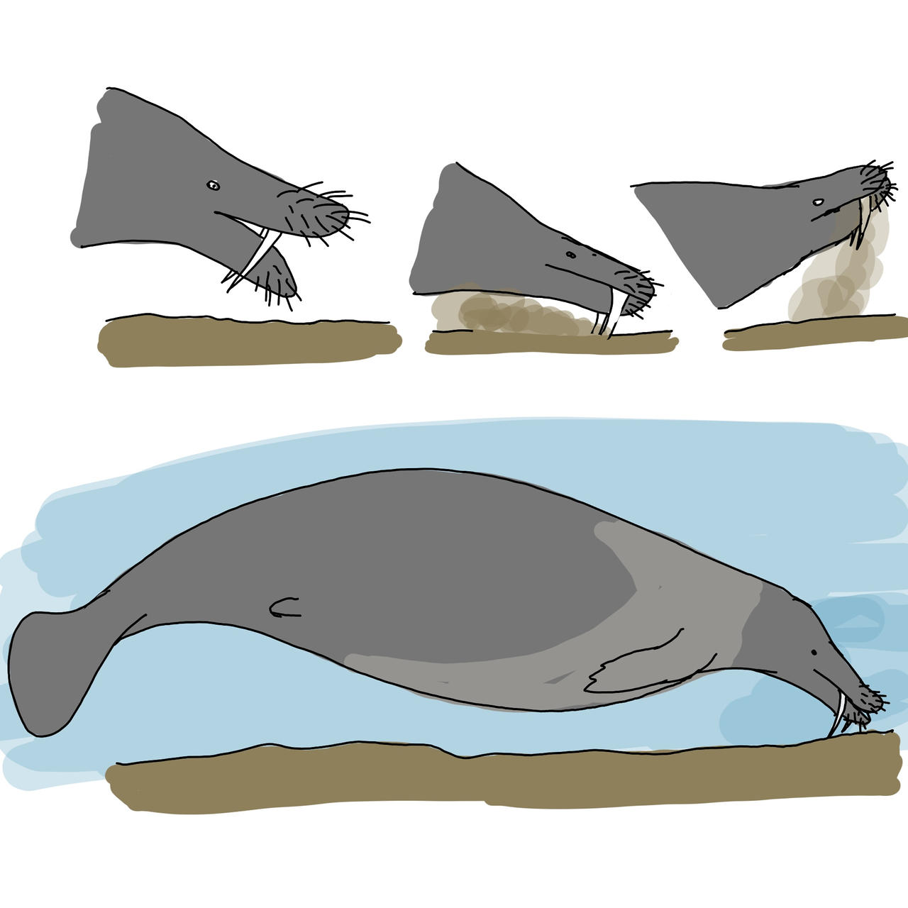 Colossus Tuskwhale