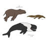 Best In Class-- Marine Mammals