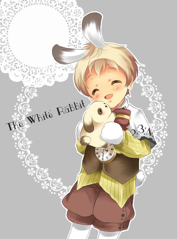 white rabbit by Kyuutchi on DeviantArt
