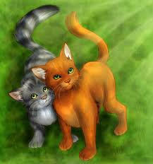 Warrior cats