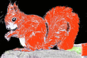 Squirrel version 2