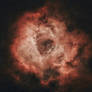 NGC 2237 - Rosette Nebula (starless)