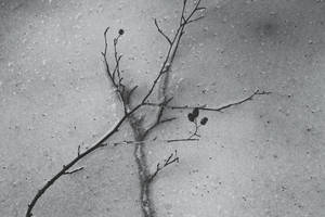 Memento Mori by firepaved Memento Mori by firepaved
