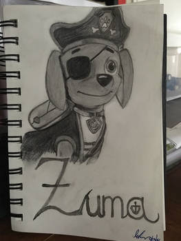 Pirate Pup Zuma