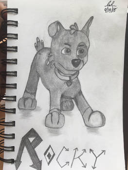 PAW Patrol- Rocky