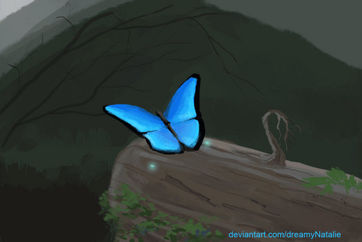 Magic butterfly