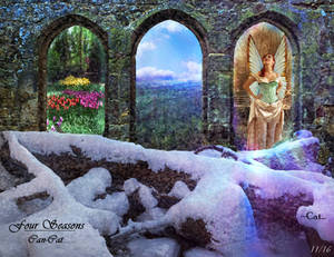 Four Seasons by Can-Cat Four Seasons by Can-Cat