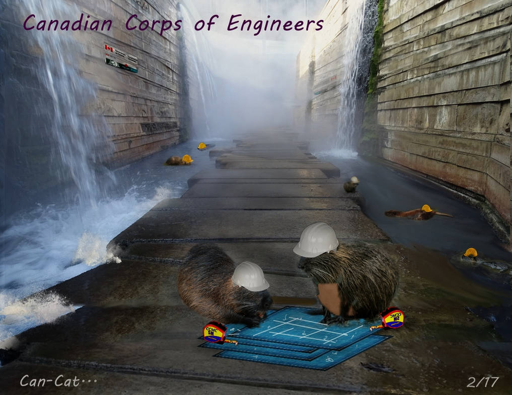 The Canadian Corps of Engineers by Can-Cat