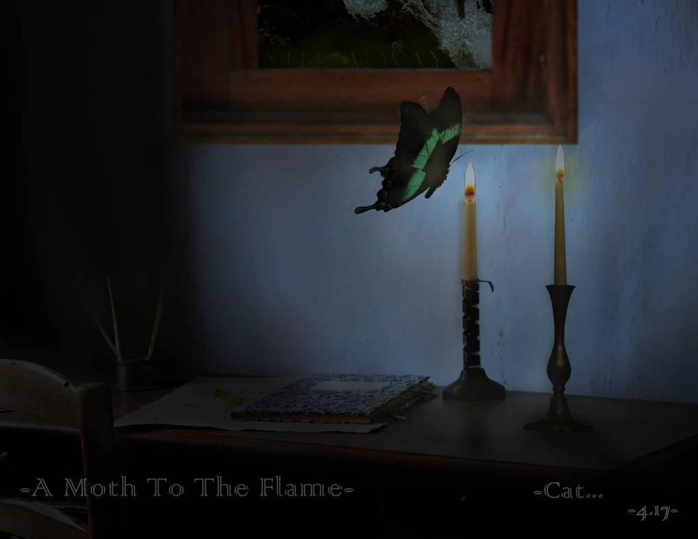 A Moth To The Flame by Can-Cat
