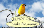 Canary On A Wire: I'm Not O.K.