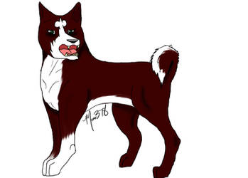 Red and White Akita