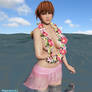 Kasumi's Last Getaway