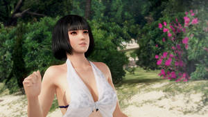 DEAD OR ALIVE Xtreme 3: Momiji (Nebula) I