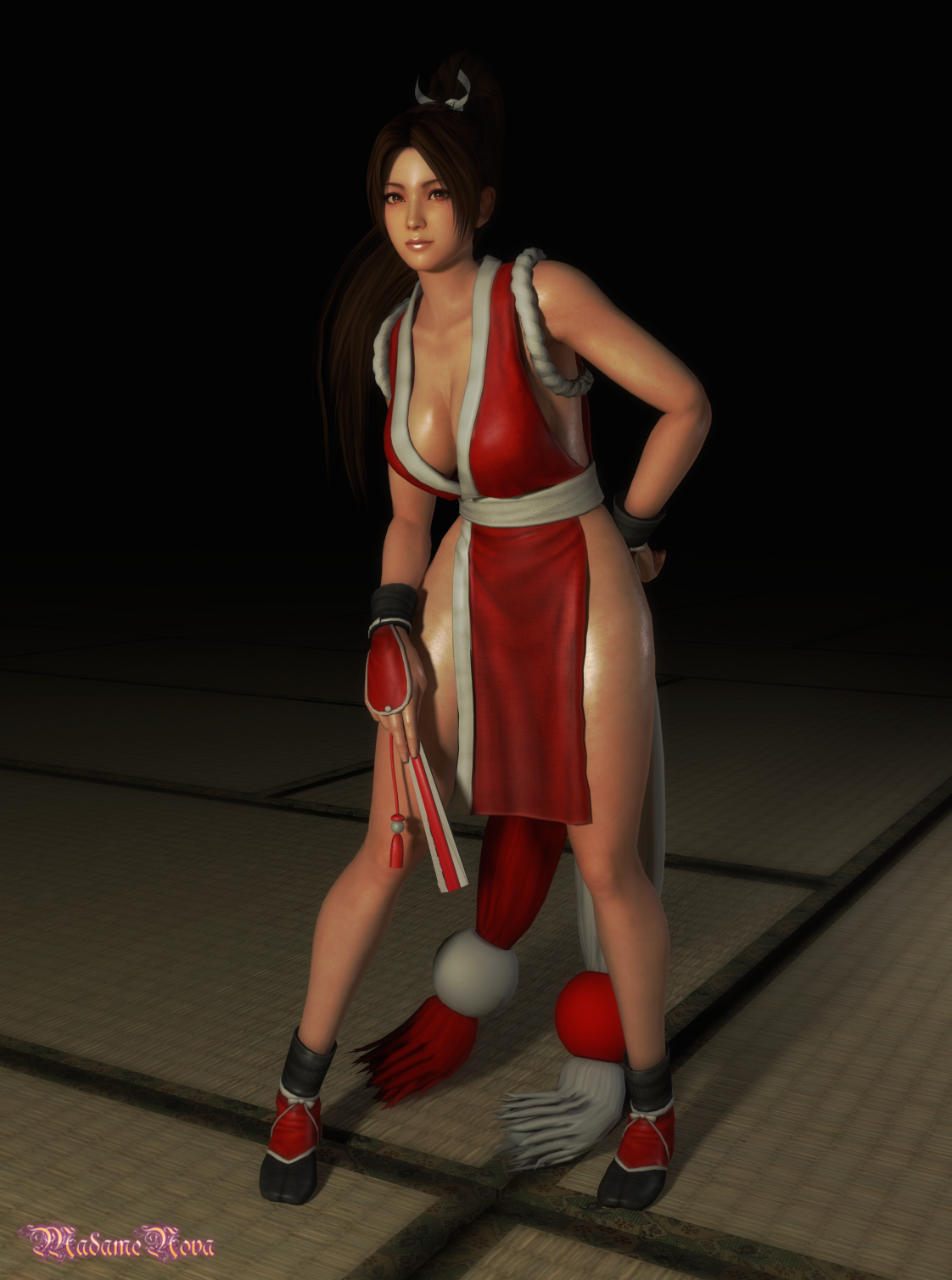 Newcomer: Mai Shiranui