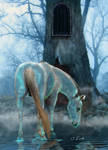 A Kelpie by ChisSweetArt