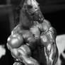 Horse Bodybuilder Morph