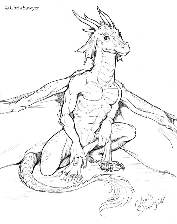 Dragon sketch 3