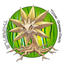 Thirstle (Open for Adoption)